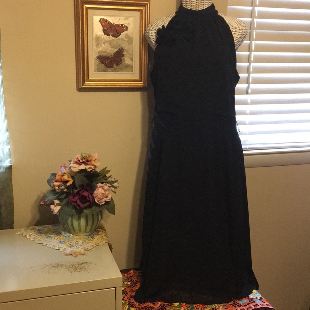 💐The Limited Sleeveless Dress